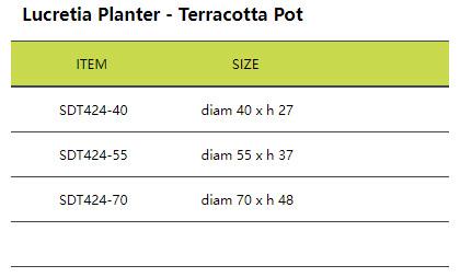 Lucretia Planter - Terracotta Pot